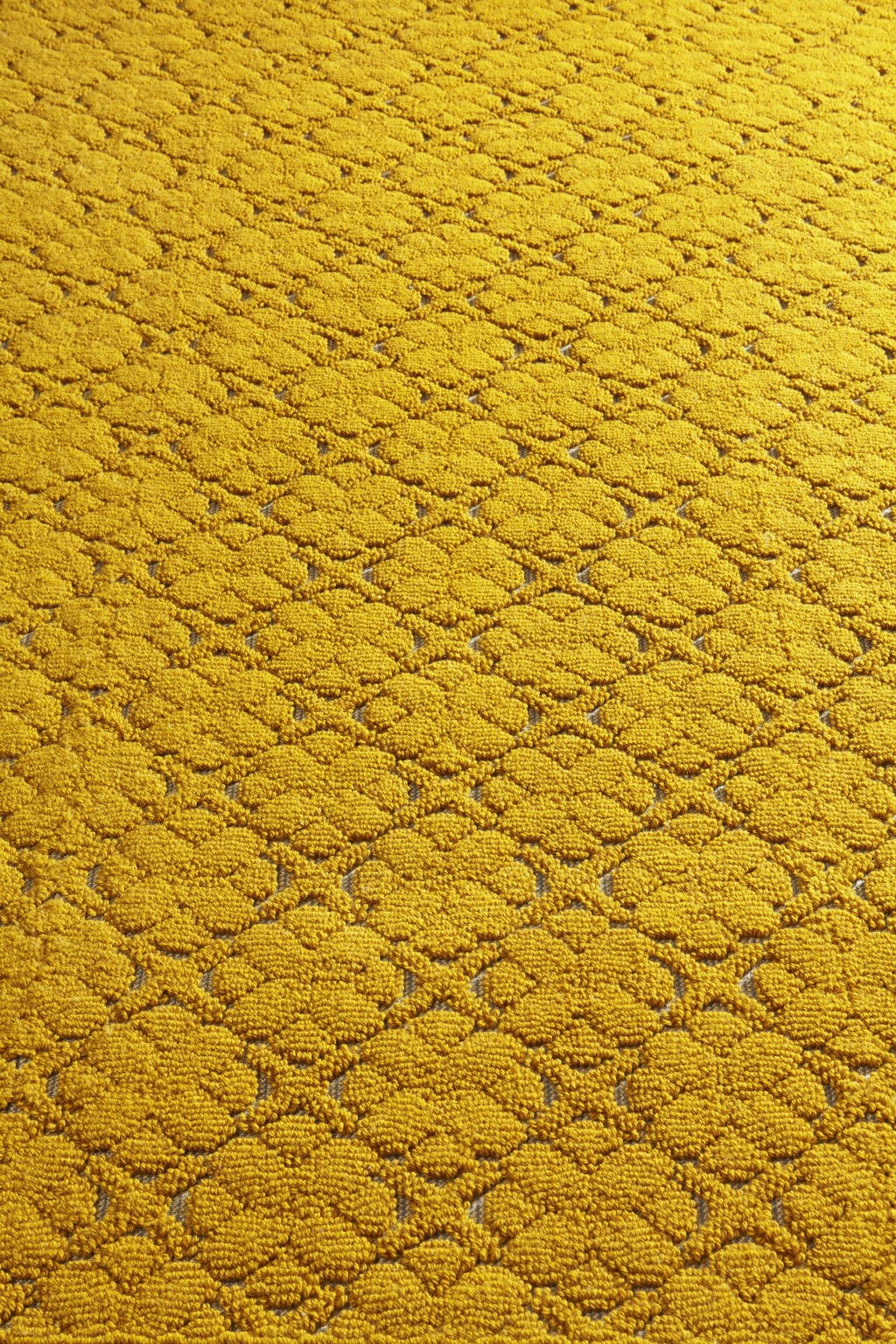 Rialet