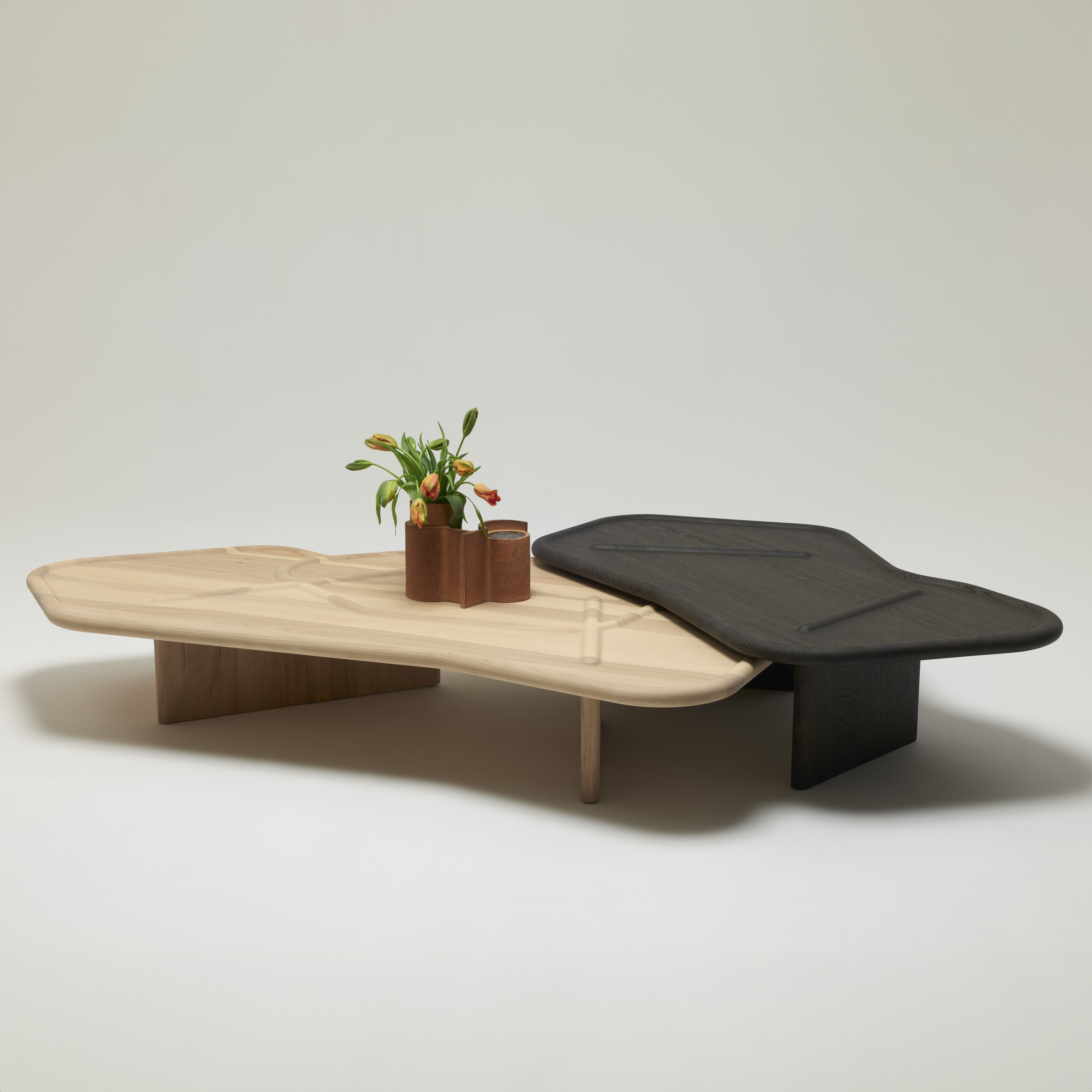 IBO Coffee Table