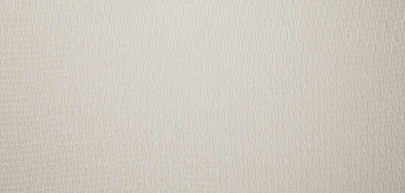 Echo