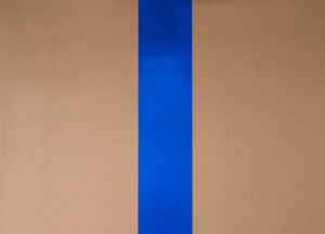 BLUE MARKER FABRIC