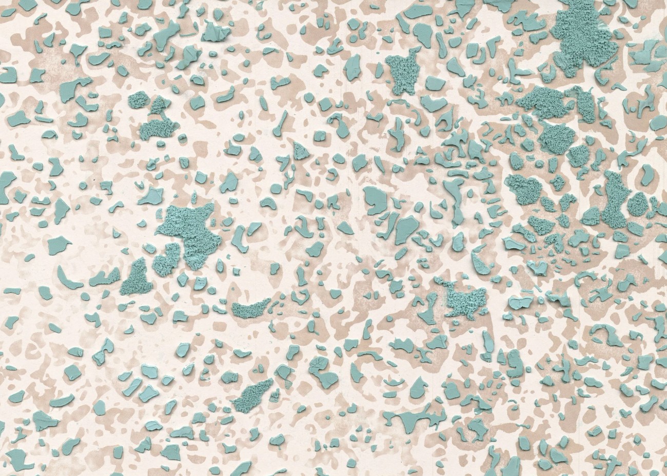 Lichens